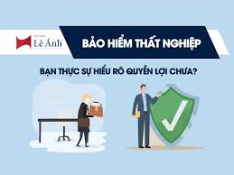 Bảo Hiểm Thất Nghiệp: Điều Kiện, Mức Hưởng, Thủ Tục A-Z & Giải Pháp Bổ Sung